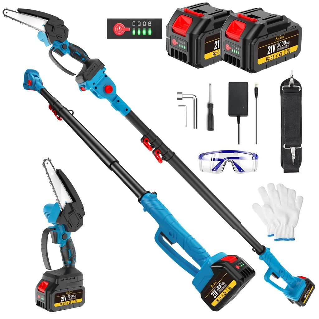 RayShine 2-in-1 Electric Cordless Pole Saws for Tree Trimming, 6 Inch Mini Chainsaw Cordles