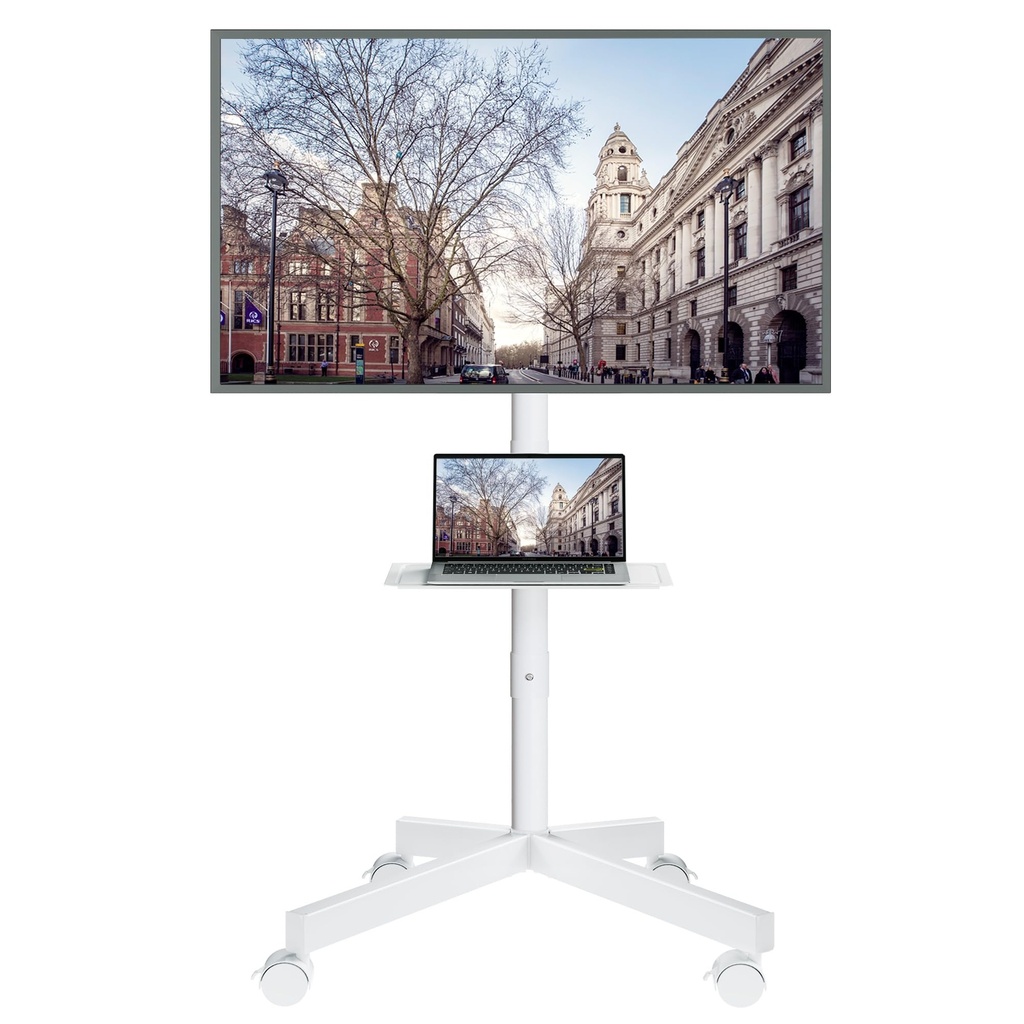 BONTEC Mobile TV Stand on Wheels, Tilt Rolling TV Stand with media shelf for 23-60 inch LED