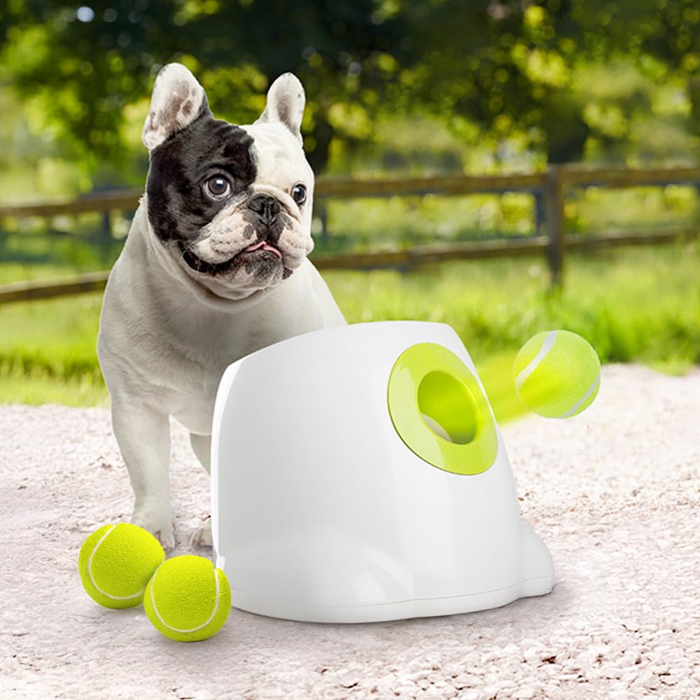ALL FOR PAWS Automatic Dog Ball Launcher - Interactive Dog Tennis Ball Thrower, Fetch Toy f