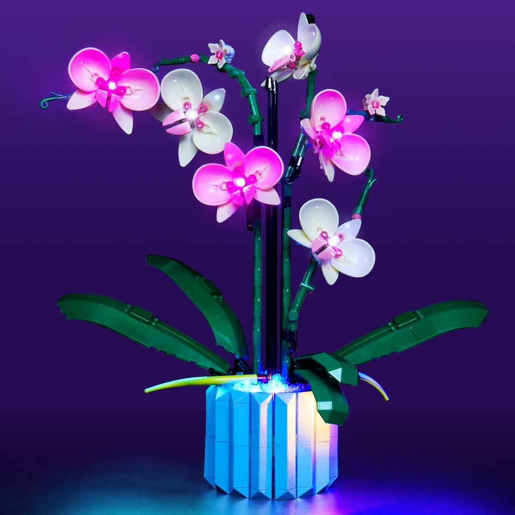 Light Kit Compatible with Lego Orchid Botanical Collection 10311 (NO Model, Only Light kit)