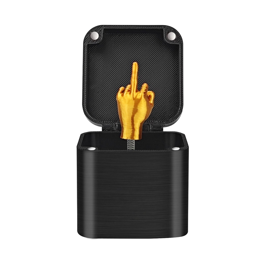 Middle Finger in a Box - Middle Finger Gift Box, Middle Finger Surprise Box, Middle Finger