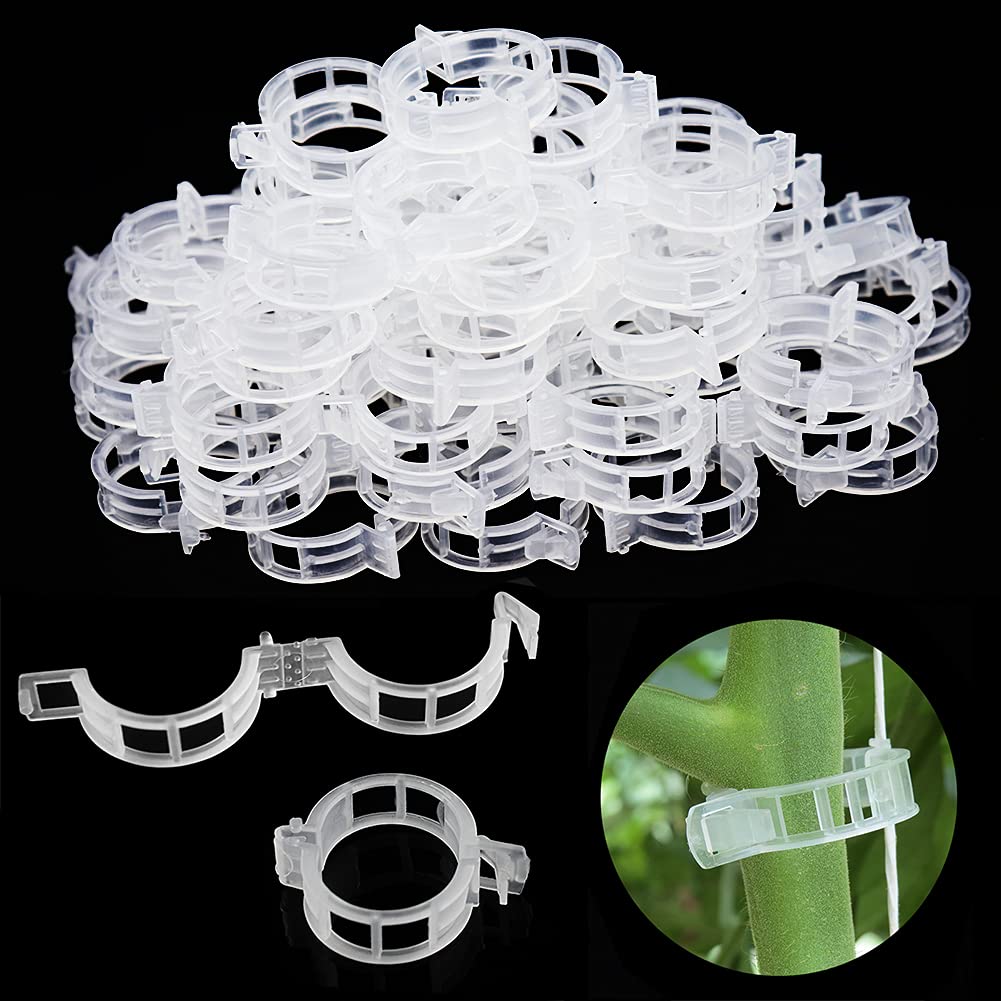 Job Lot of 40 x ZDZBLX 300 Pcs Plant Clips & Supports for Garden Trellis, Tomato Climbing Plants | Reusable