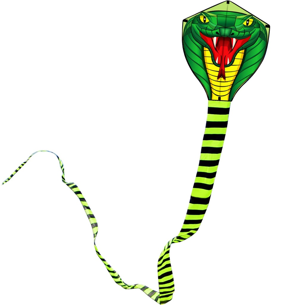 Touch the sky 8m Long Snake Kite for Kids and Adults, Easy to Fly, Exquisite Fabrics and Un