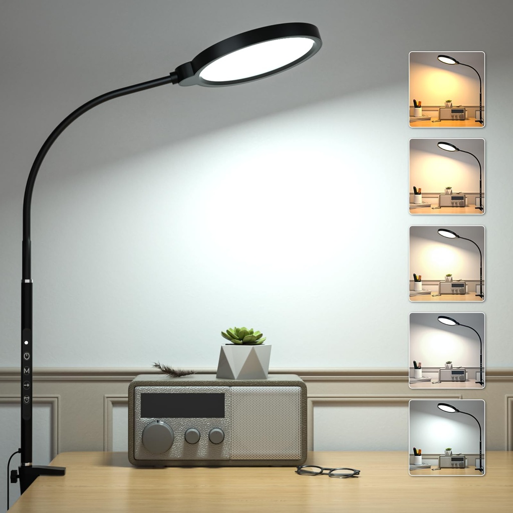 Hensam LED Desk Lamp, Touch Control Table Lamps for Office, Clip on Desk Light with Clamp,
