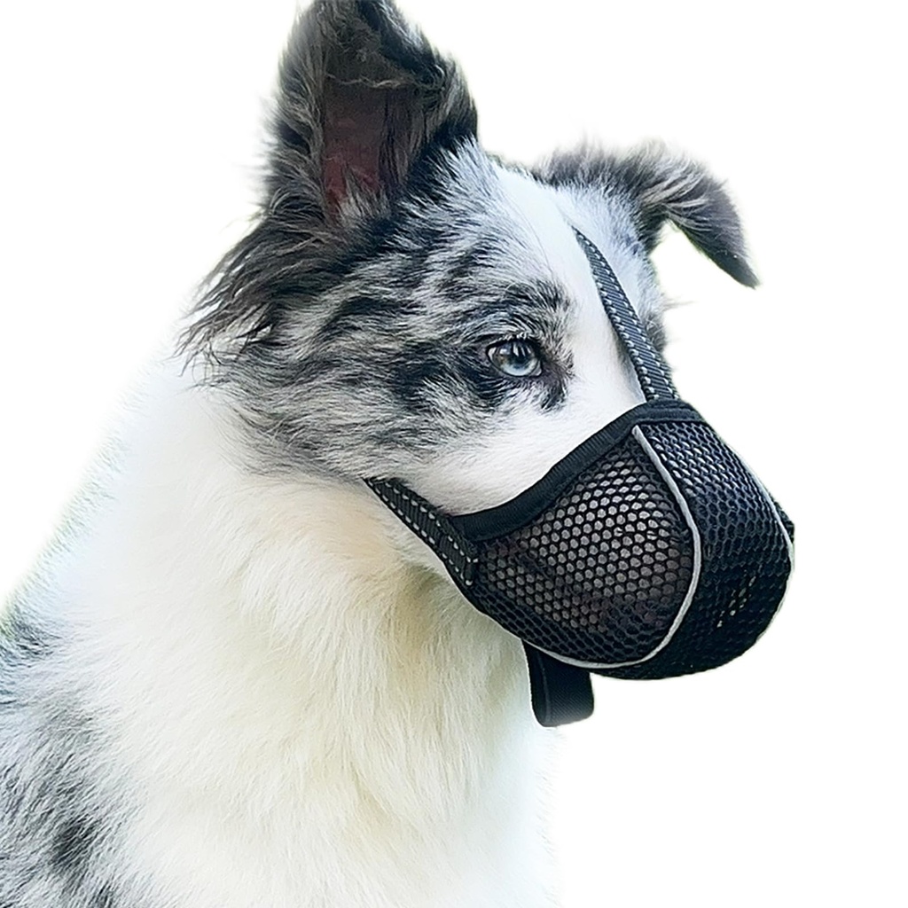 Large Dog Muzzle, Dog Muzzle to Prevent Eating/Chewing/Biting, Breathable Reflective Adjust