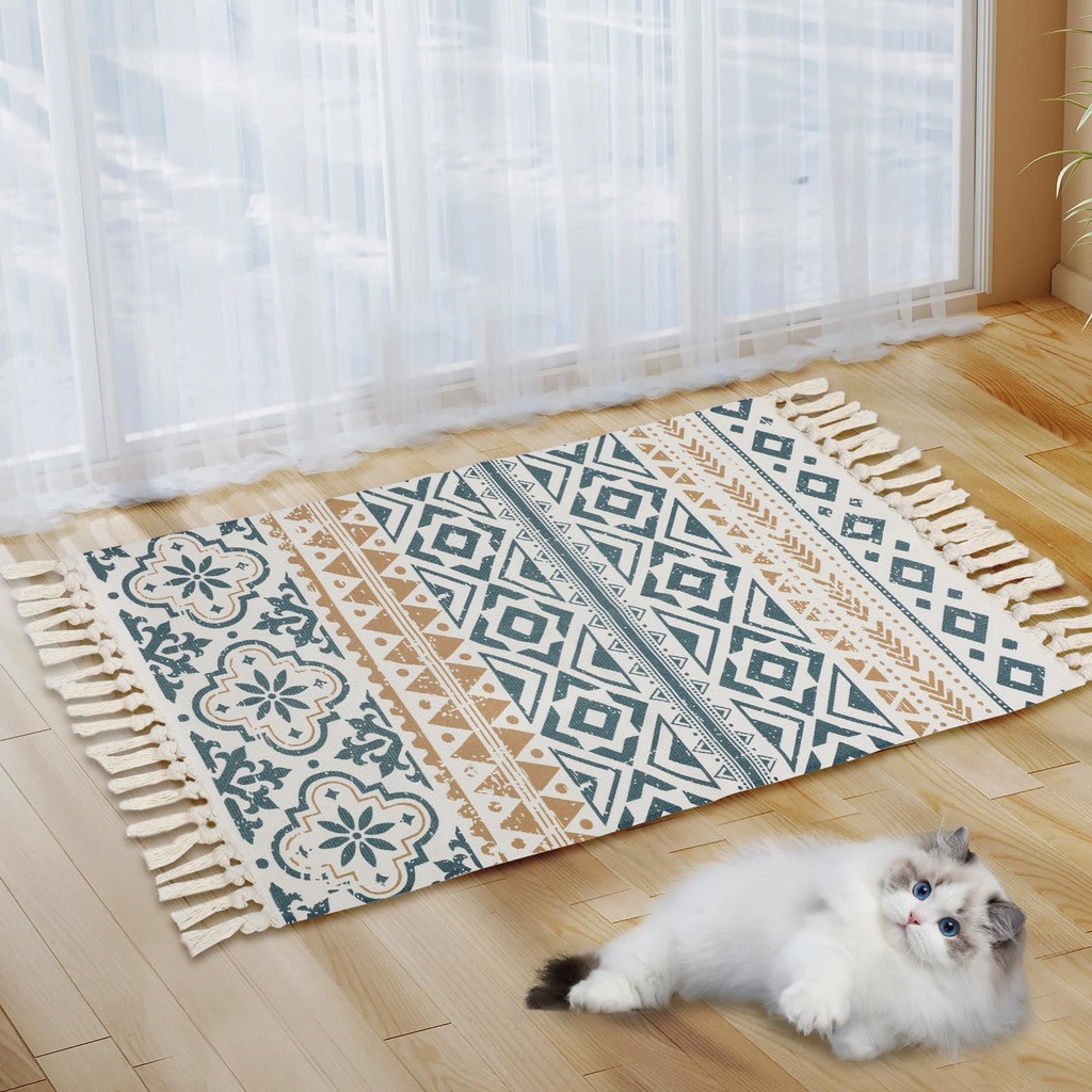 Boho Area Rugs for Living Room, 60 x 90 cm Small Cotton Woven Area Rugs with Tassel, Vintage