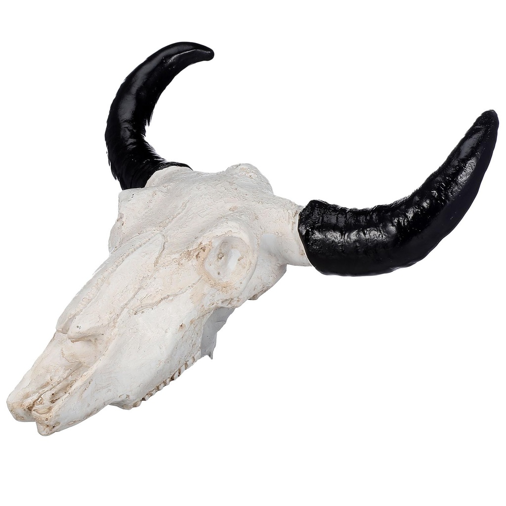 Homoyoyo 9.05 Inch Long Horn Cow Skull,Animal Skull Resin Halloween Art Crafts Ornaments 