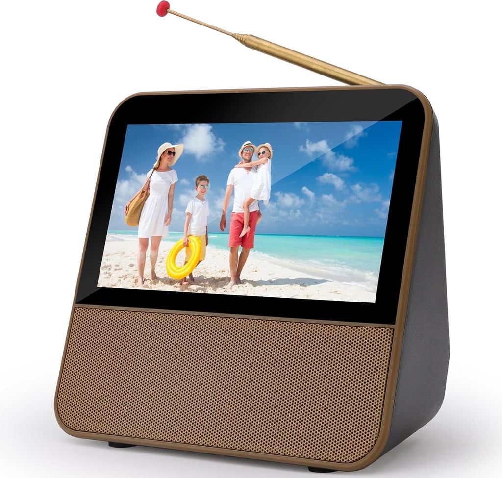 HOTOIQ Portable TV, 1080P HD 7 Inch, Digital DVB-T2 Receiver, DAB+, FM Radio, USB Multimedia