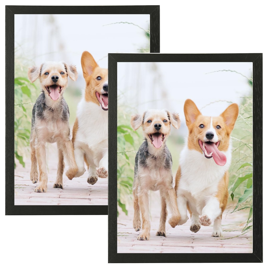 A3 Photo Frame,3 Pack-29.7x42cm Black Picture Frame Plexi-Glass,Certificate Frame for Wall