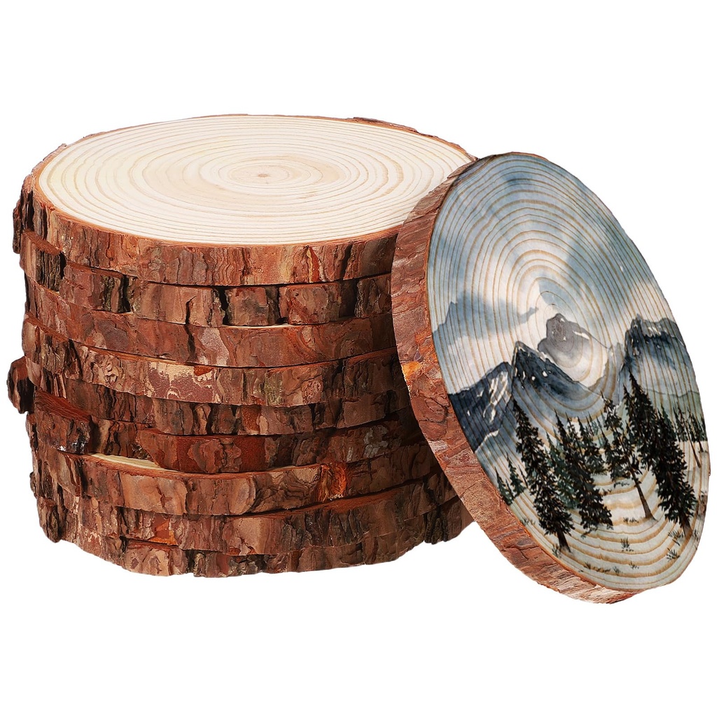 10 Pcs Large Natural Wood Slices 20cm, Unfinished Round Log Discs with Bark. Rustic Wedding