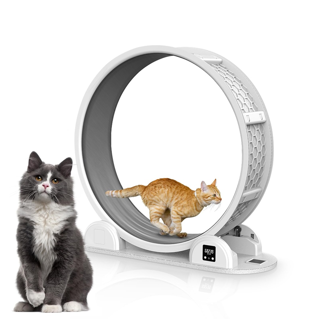 Pilipane Cat Exercise Wheel,Large Cats Treadmill Wheel,Cats Wheel for Indoor Diameter