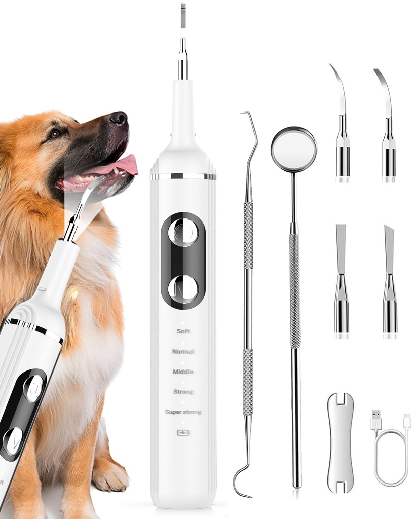 Wagner Stern Dog Plaque Remover for Teeth, Dog Toothbrush with 5 Modes & LED Light for Calc