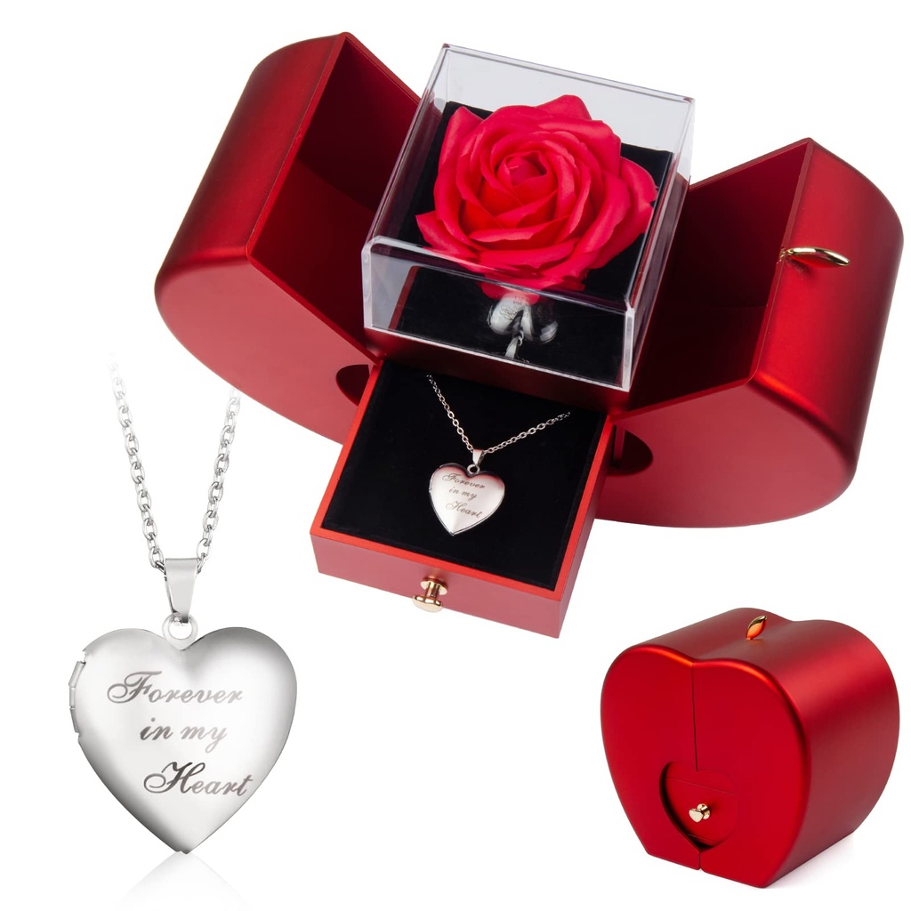 SOVIUPRZ Preserved Roses in A Box Forever Red Roses Heart Box to My Love Eternal Flower for