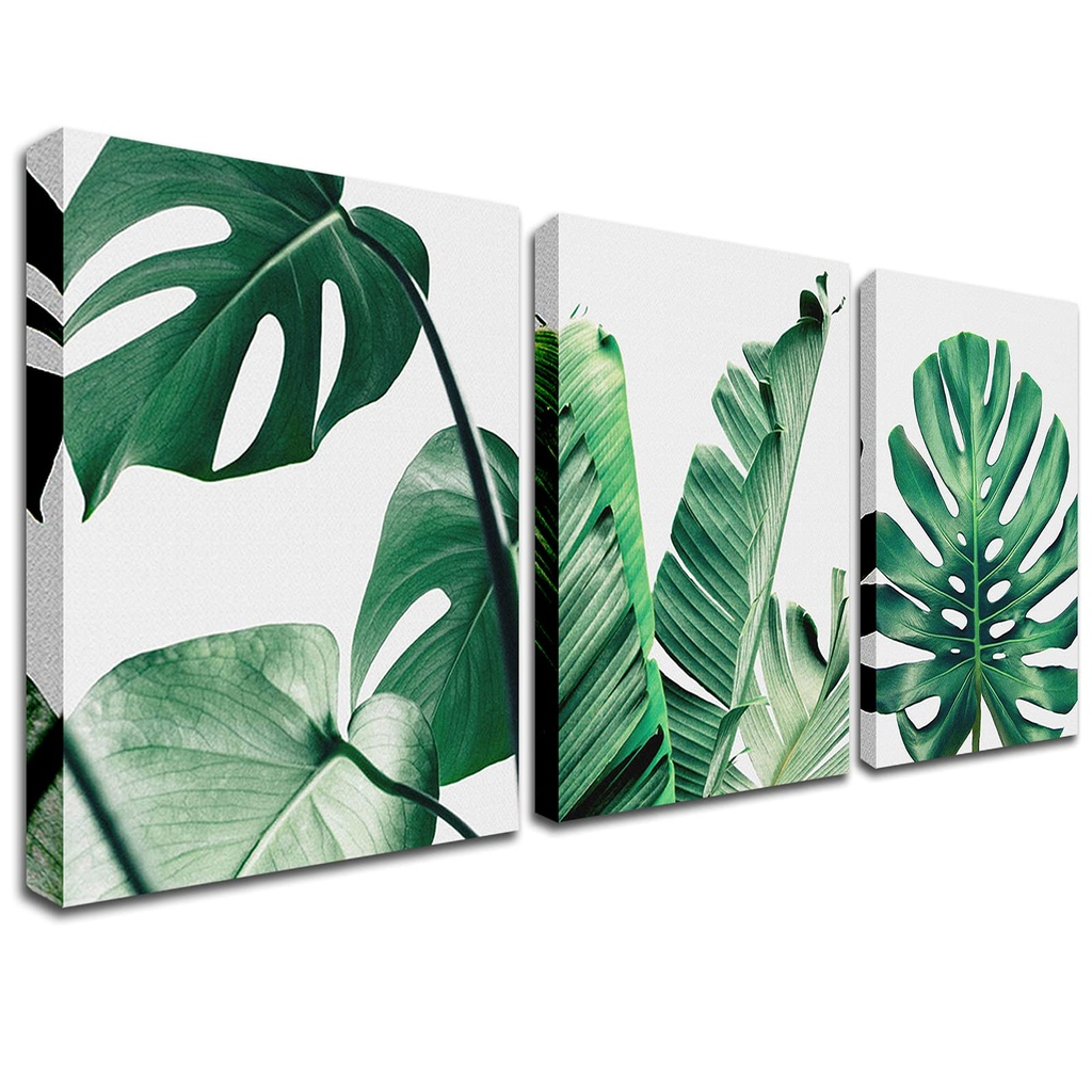 Green Plant Prints Wall Art - Botanical Poster Painting Monstera Succulent Shallow Leaf Pic