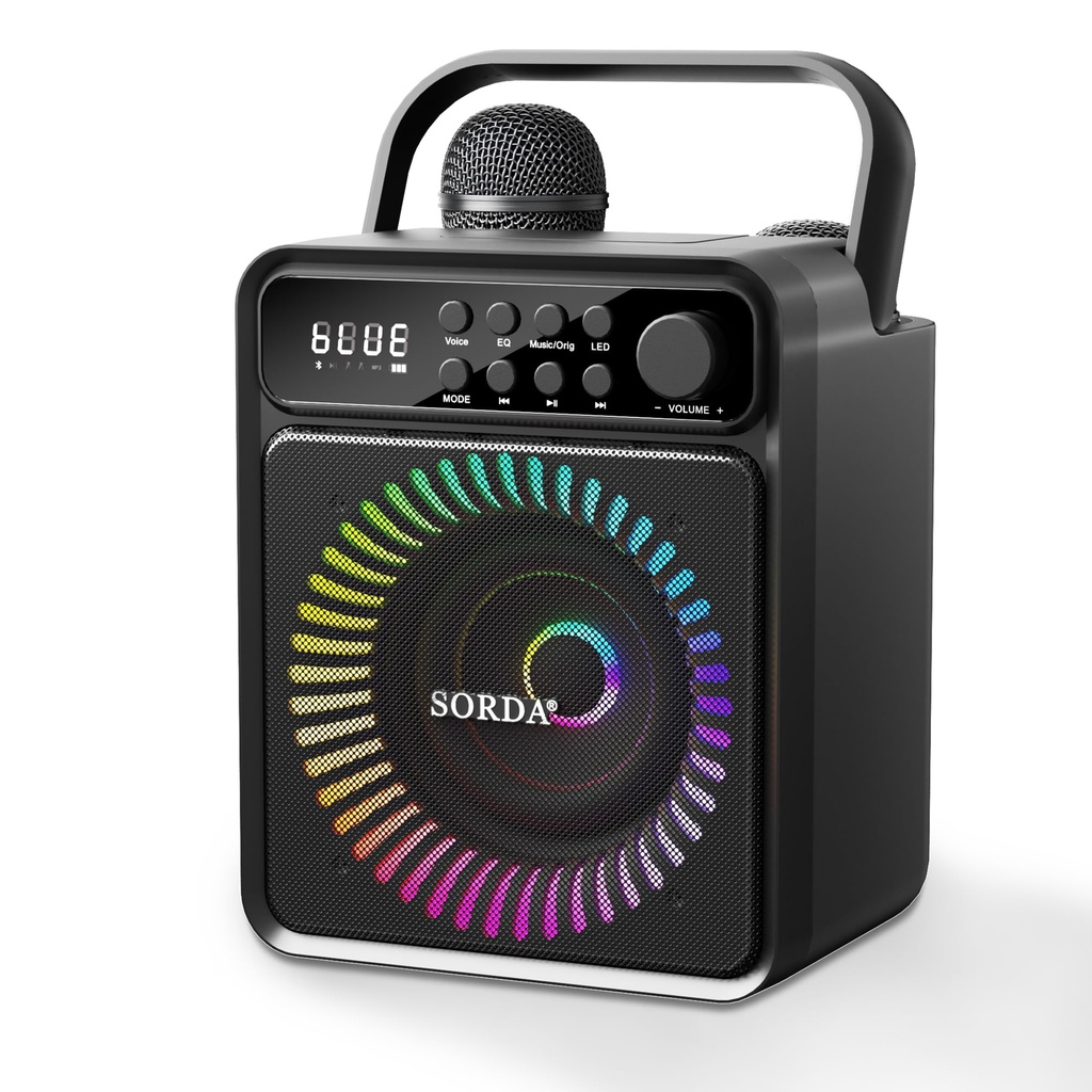 SORDA Portable Bluetooth Karaoke Machine for Adult Kid with Storage & Charging Station, 2 R