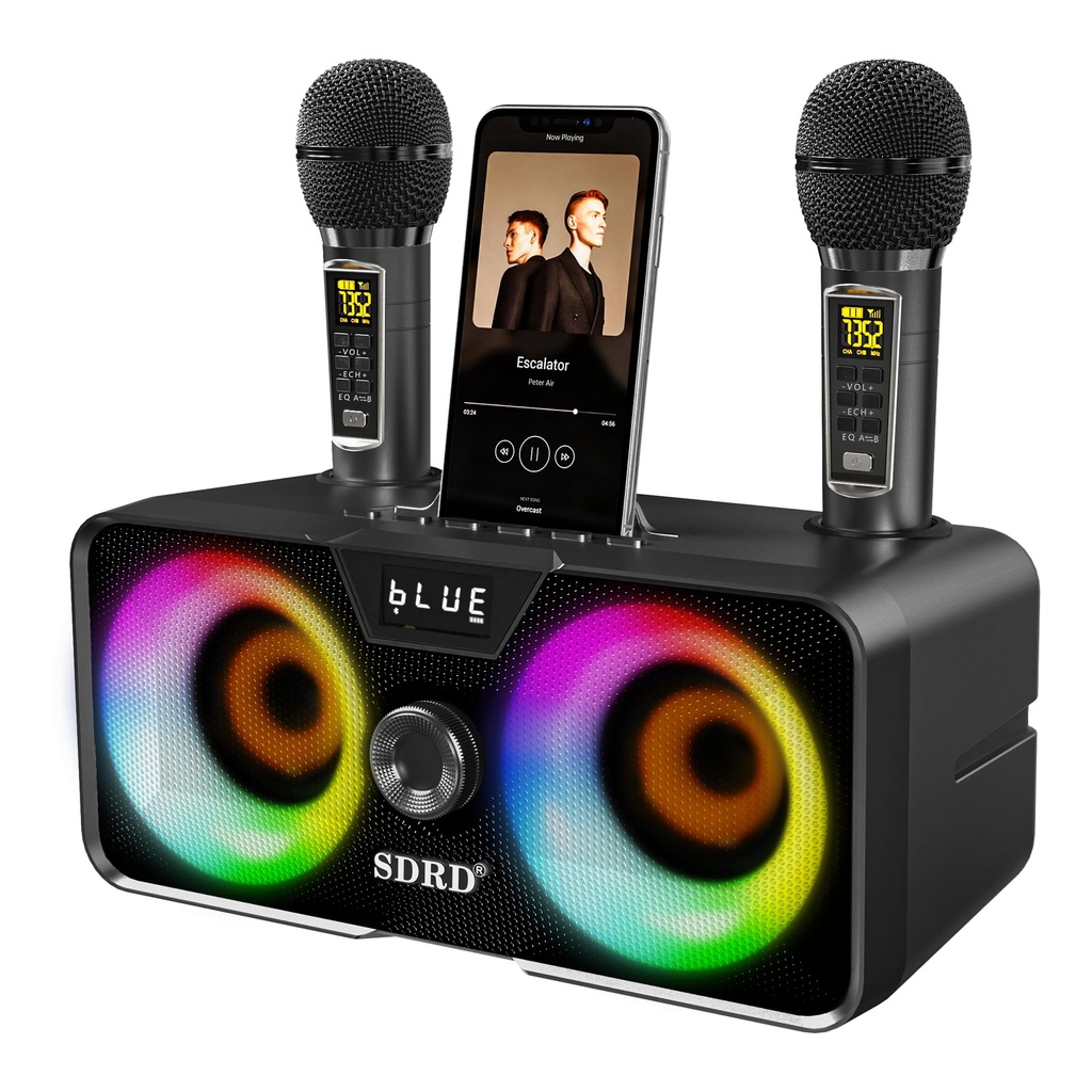 Karaoke Machine for Adults and Kids with 2 UHF Wireless Microphones,Portable Bluetooth Speaker