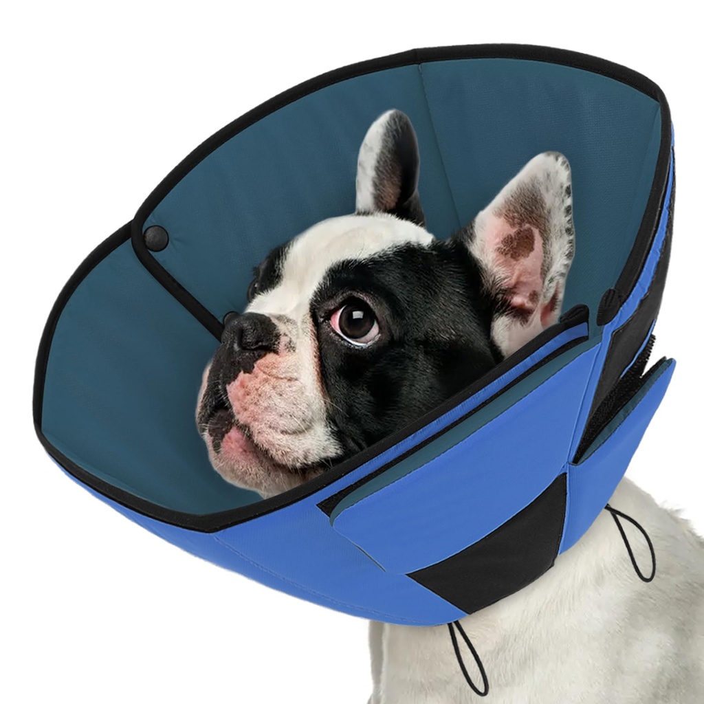 Queenmore Dog Cone for Small Dogs, Calming Collar for Dogs, Adjustable Puppy Cones, Recover