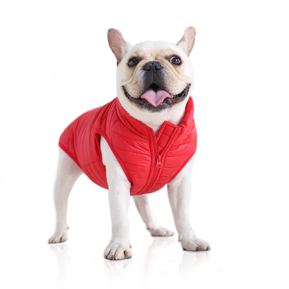 BT Bear Dog Winter Coat with D Ring,Super Light Small Dogs Warm Coat Zip Waterproof Pet Cat