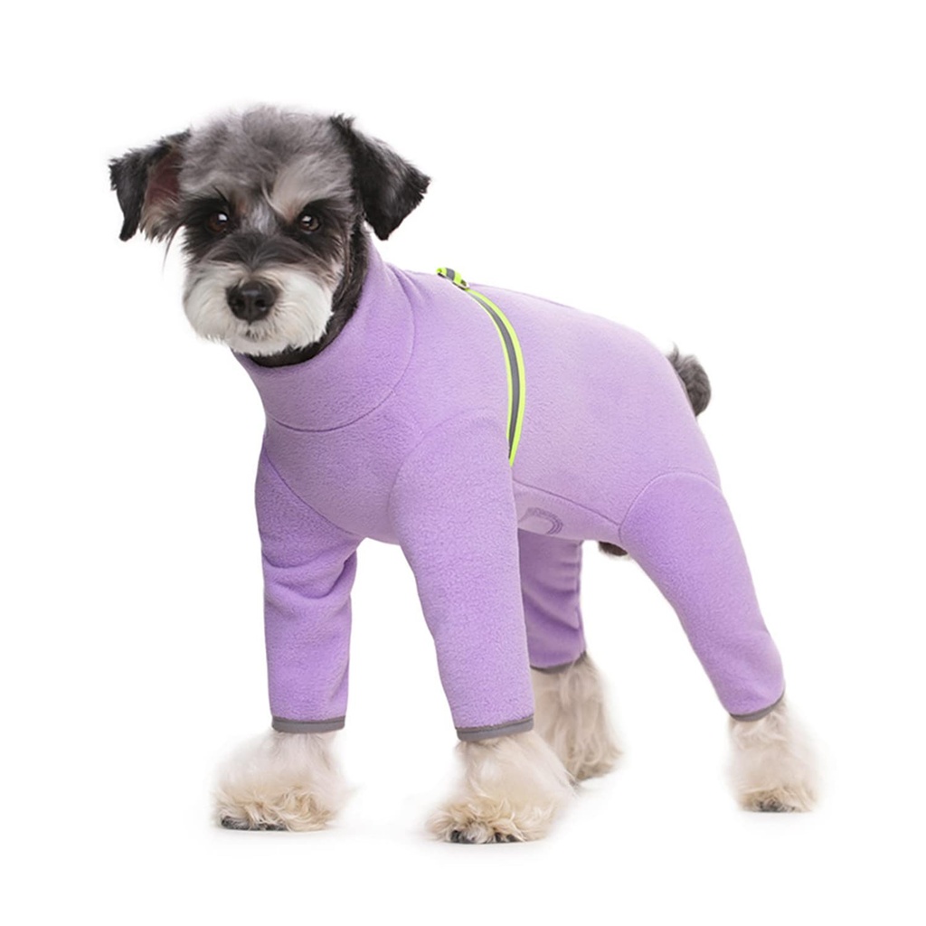 BT Bear Small Dogs Winter Clothes,Dog Winter Warm Coat Soft Fleece with Reflective Zip Dog