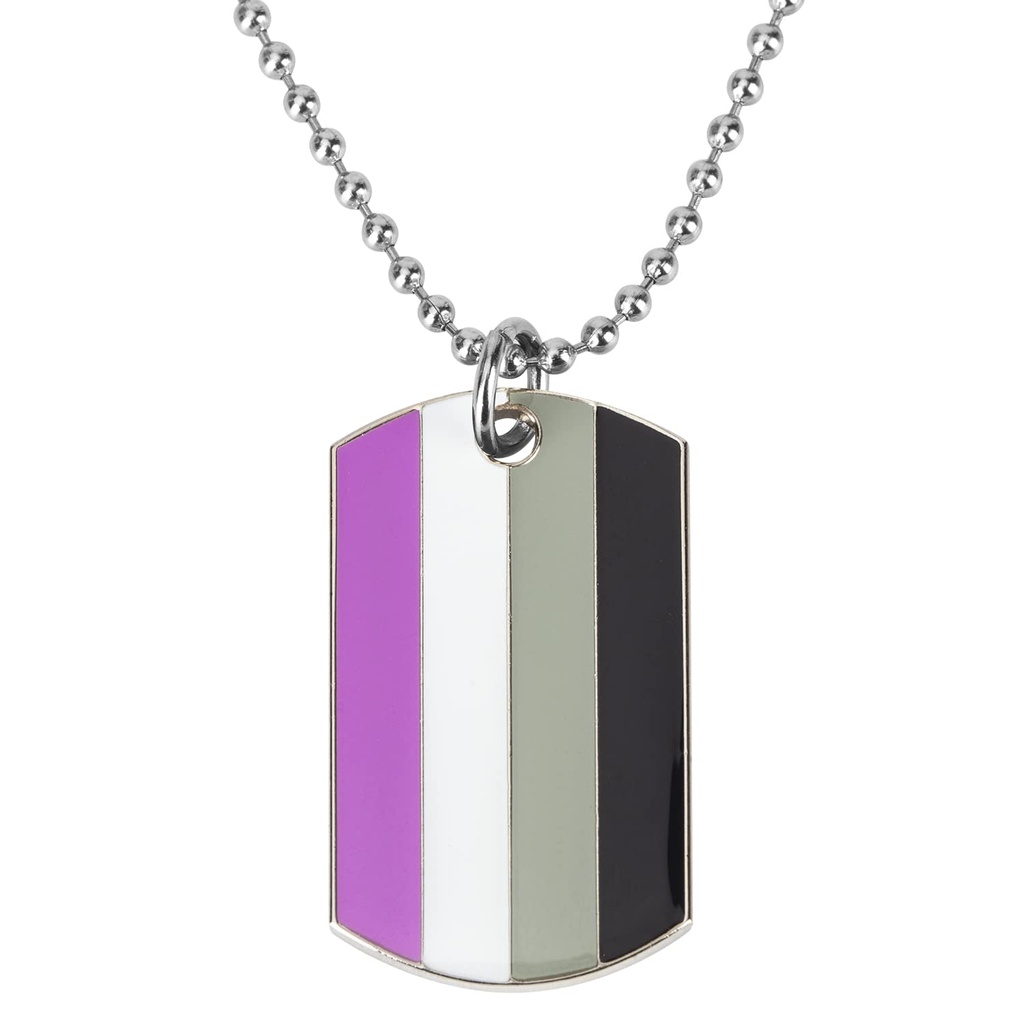 Sinwinkori Asexual Pride Dog Tag Pendant Necklace Fashion Jewellery 60cm Ball Chain Valenti