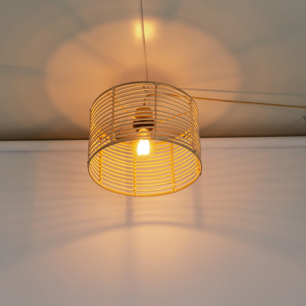 Eusamxon Handcrafted Boho Wicker Pendant Light