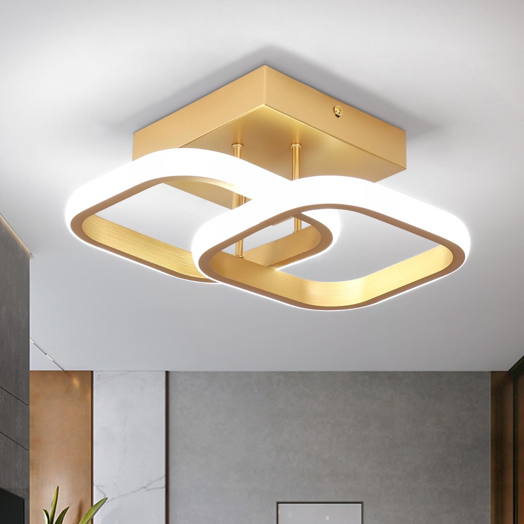 EIDISUNY Modern Ceiling Light LED 22W Elegant Square Ceiling Lamp Cool White 6000K Gold LED