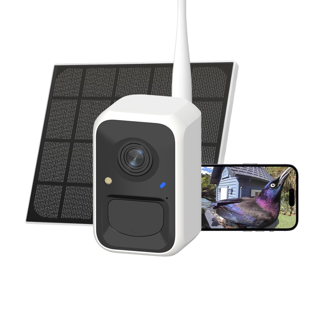 Birdfy Upgraded Smart Bird Feeder Camera, Solar Powered, Auto Bird Video Capture, Instant N