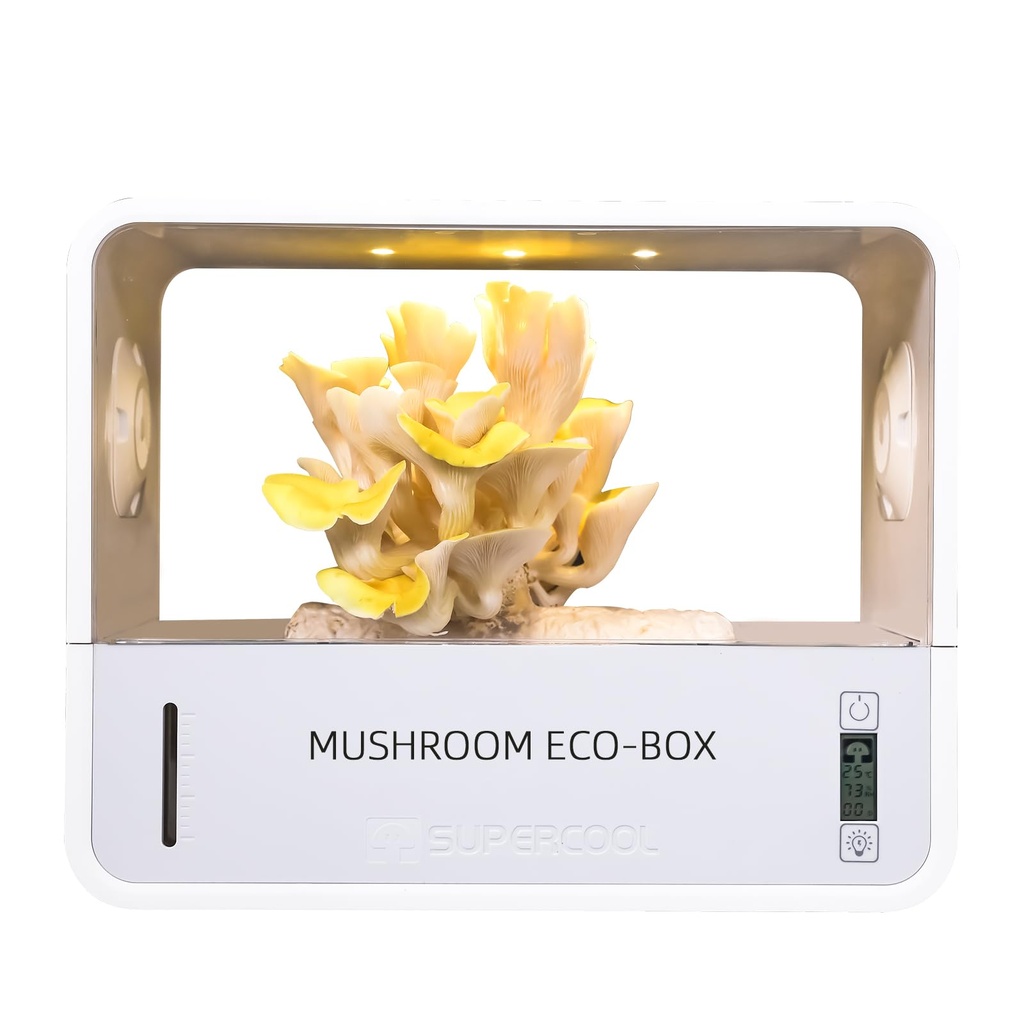Crownow Mushroom Grow Box with Temperature and Humidity Display,Smart Mushroom Monotub Grow