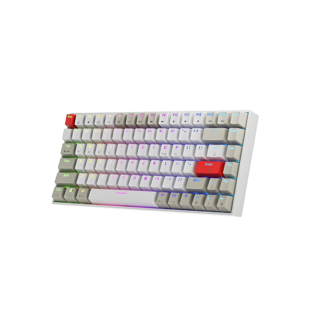 NEWMEN GM840 75% Mechanical Keyboard TKL,Wired&Wireless Keyboard,USB-C&2.4G&Bluetooth Anti-
