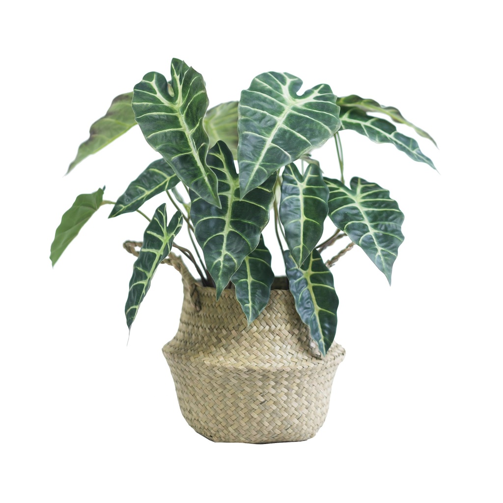 VerdantCharm Artificial Alocasia Plant 46cm | Realistic Fake Tropical Houseplant, Green Leaf