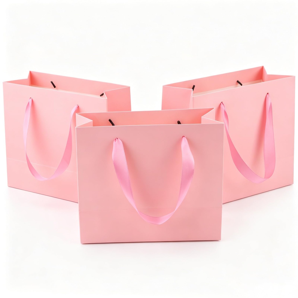 Ronvir 25Pcs Small Gift Bags,22x10x18cm Recyclable Gift Paper Bag With Handles for Valentin