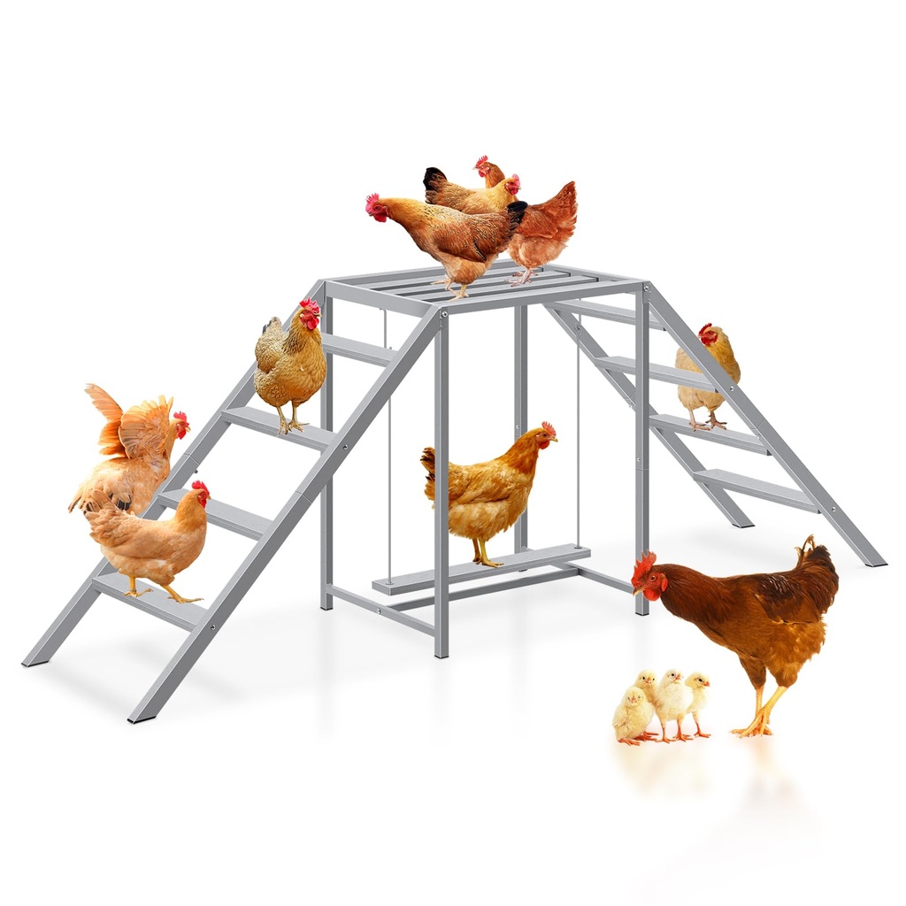 Chicken Coop Perches with Swing, Metal Chicken Toys for Hens with Swing & Ladder, Chicken 