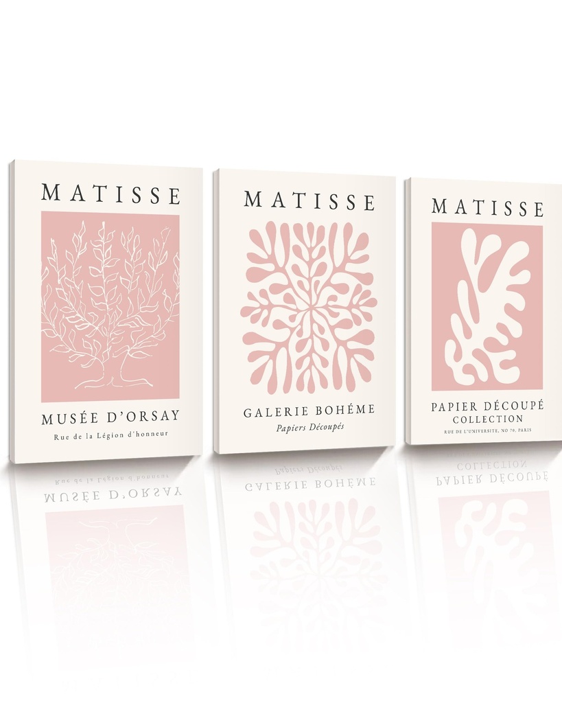 HesenDot Matisse Pink Framed Wall Art,30x40CM Abstract Prints Wall Decor,Boho Posters Wrapp