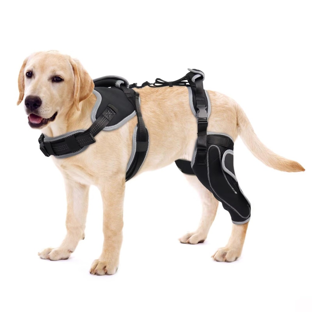 LISPOO Dog Knee Brace for Torn ACL/CCL Hind Leg,Adjustable Support With Sufficient Wrapping