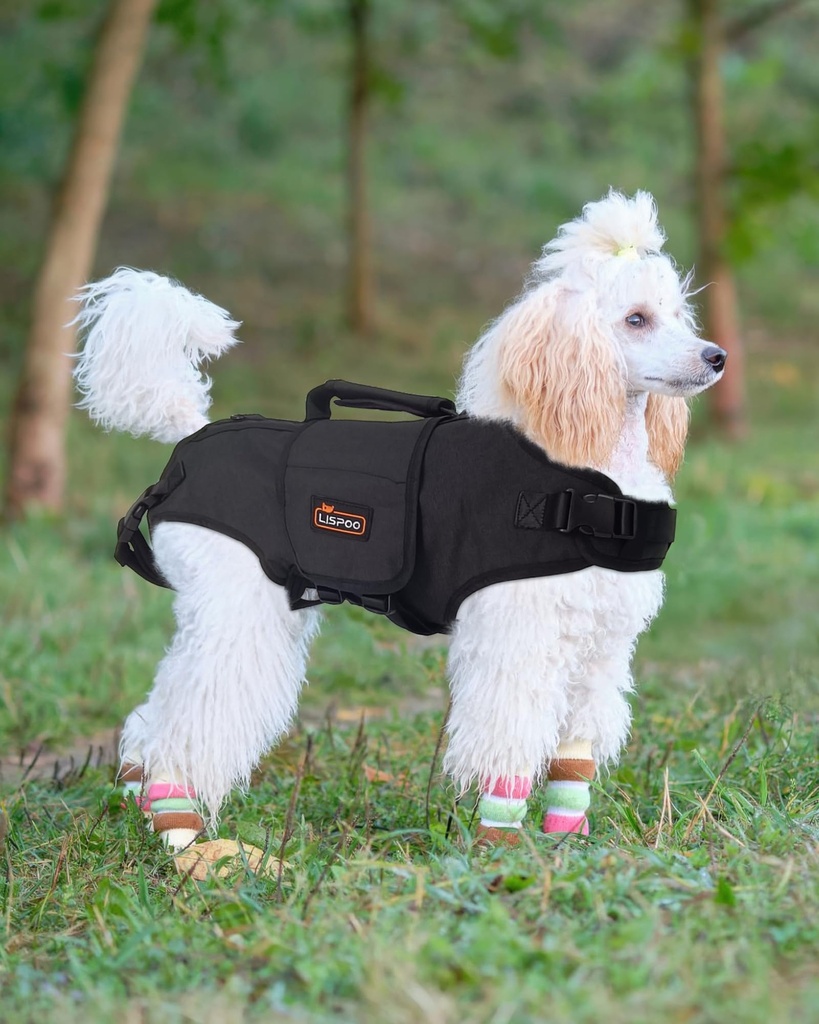 LISPOO Full Body Lift Harness for Dogs with Easy Lift Handle-M Size