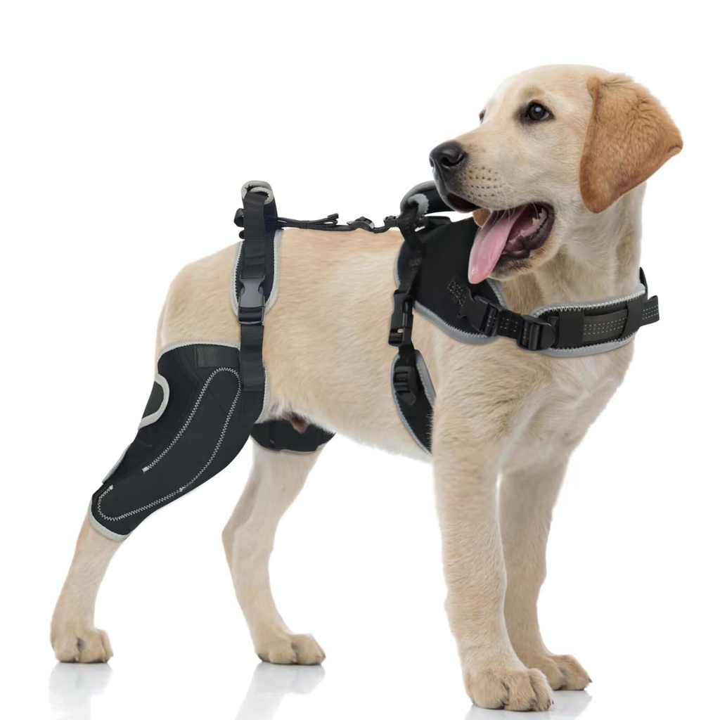 LISPOO Dog Knee Brace for Torn ACL/CCL Hind Leg-Right leg-Upgraded/L
